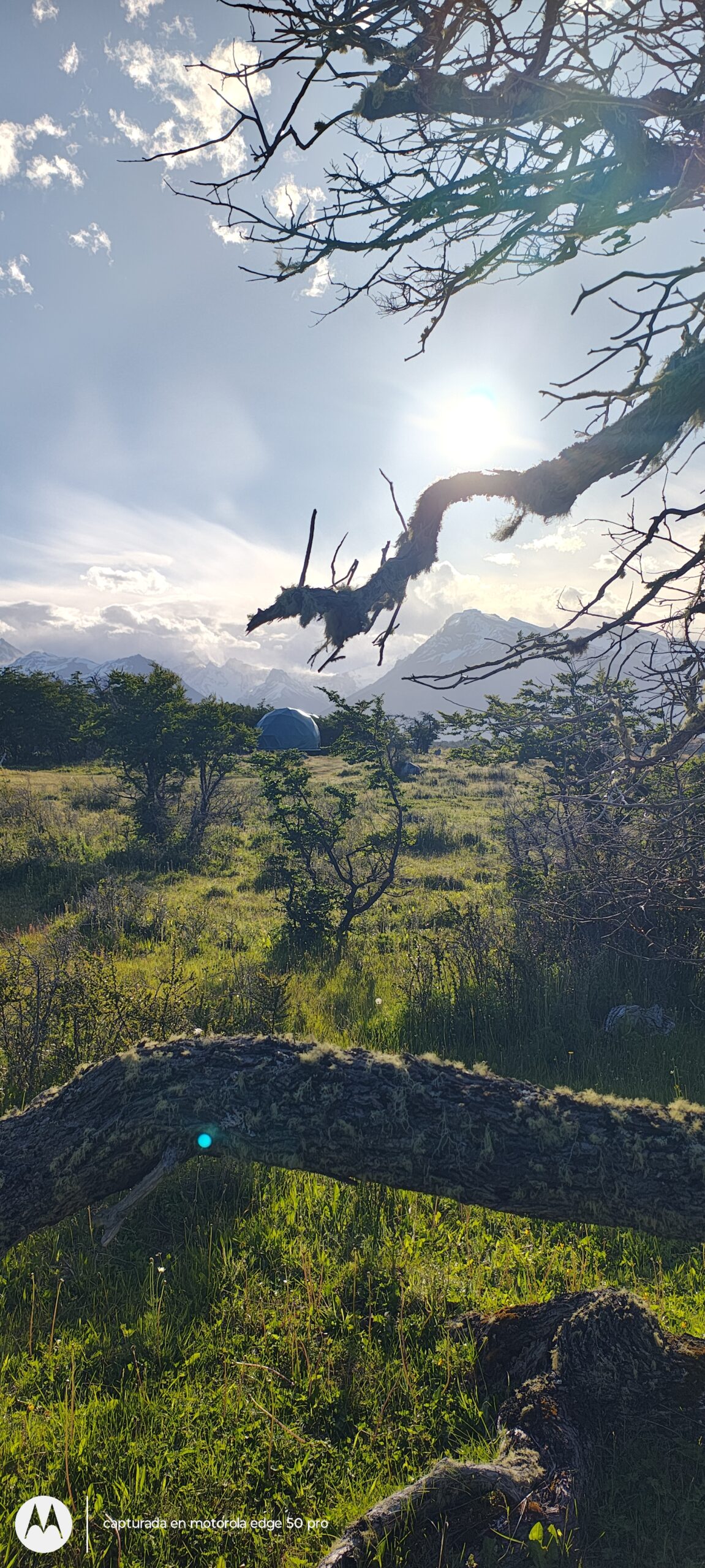 domo-geodesico-de-63-en-cerro-moreno