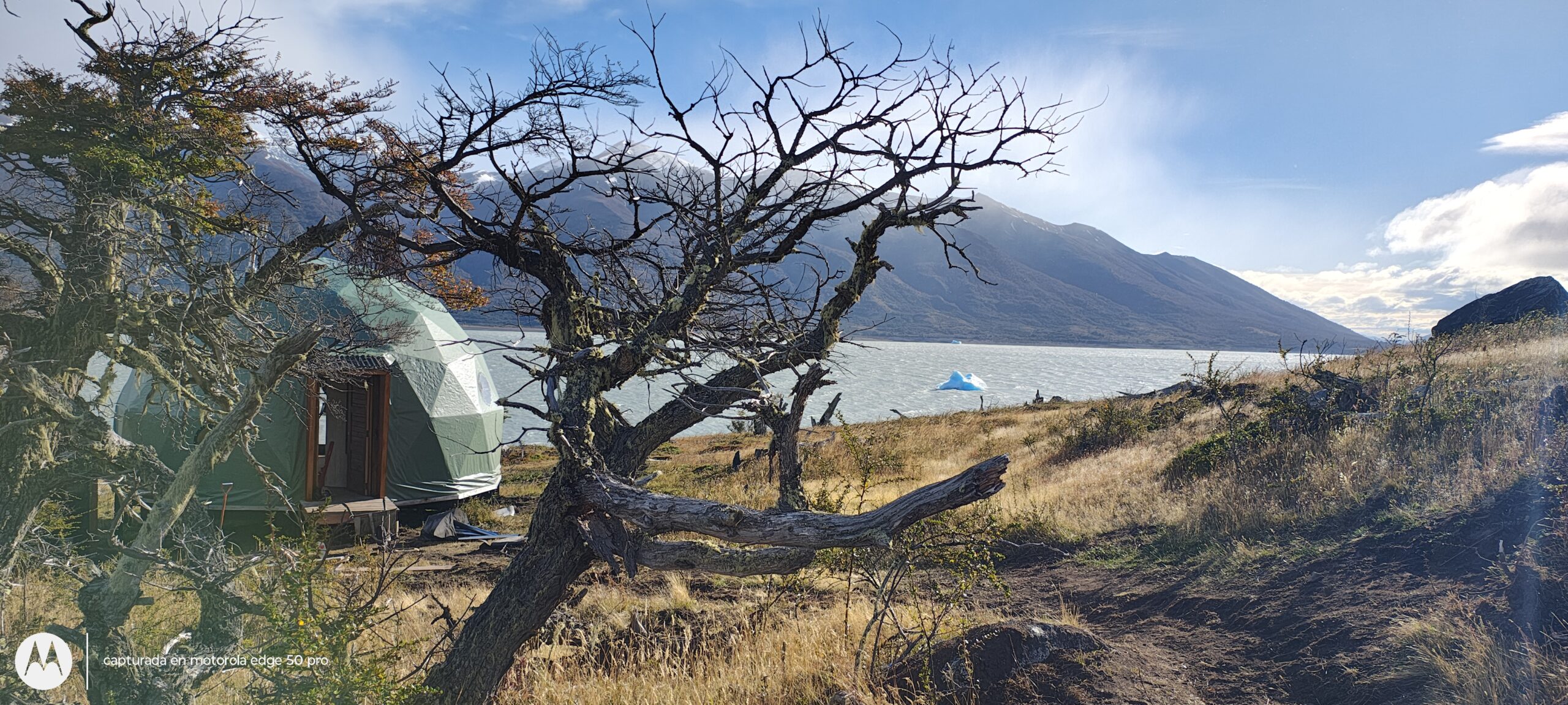 moreno-camp-2