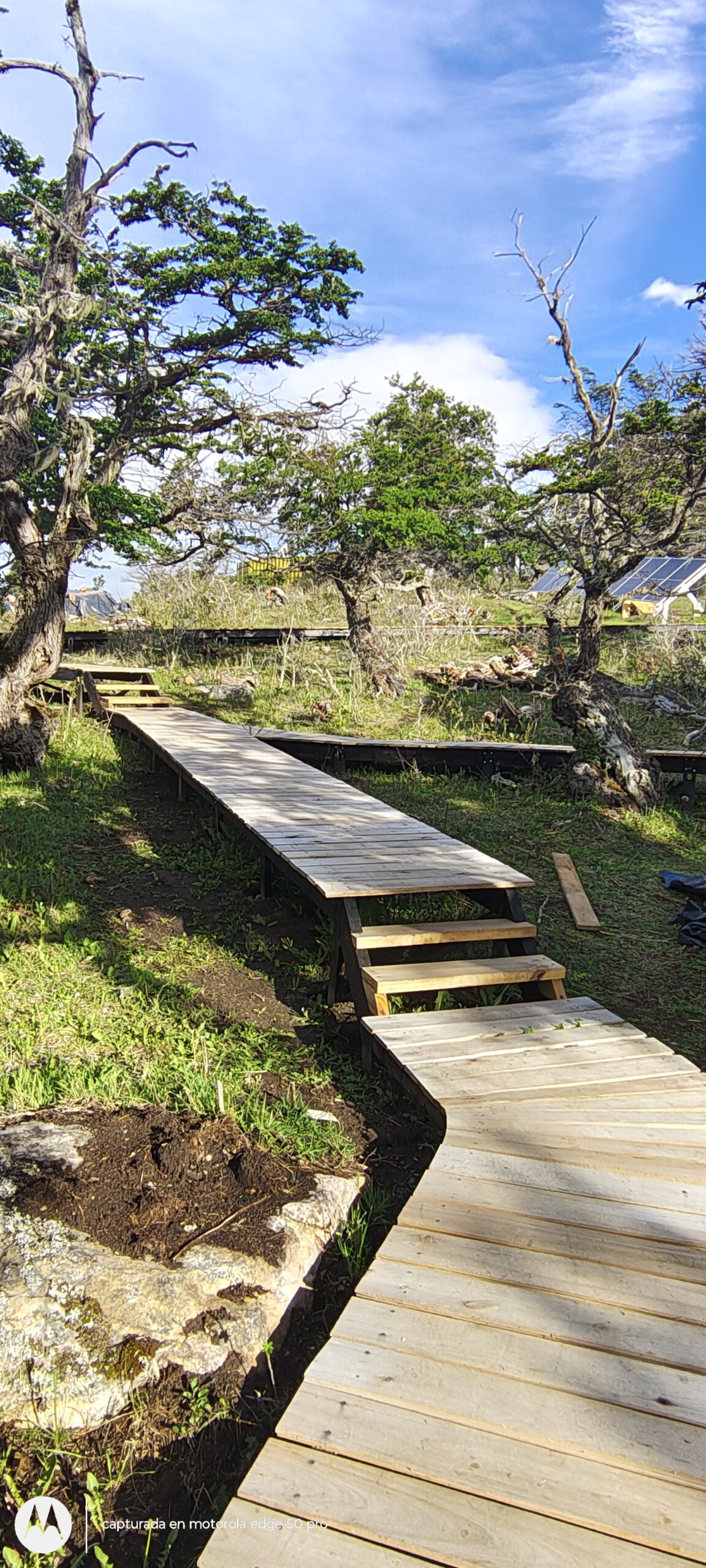 pasarelas-para-domos